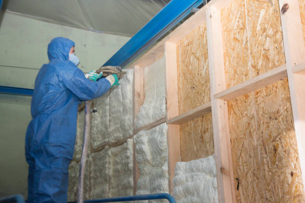 Best Insulation Inspection Services  in Watsessing, NJ