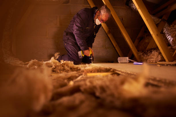 Best Cellulose Insulation  in Watsessing, NJ